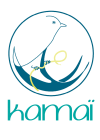 KamaI Logo masque